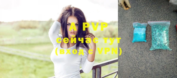 дживик Балахна