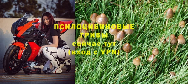 дживик Балахна